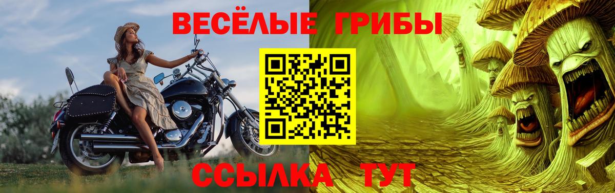 Псилоцибиновые грибы Magic Shrooms  Вход с VPN  наркошоп  Сарапул 
